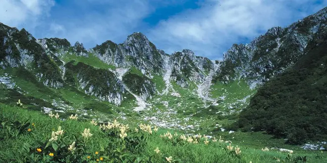 【７～８月】高山植物の宝庫中央アルプス千畳敷カール 標高2,612ｍへロープウェイで誰でも行ける絶景