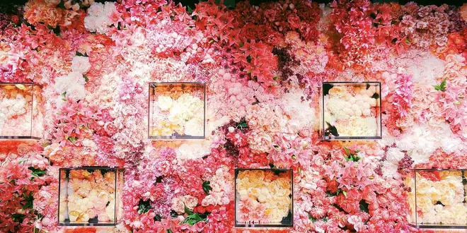 奈良にもあった！超インスタ映えSPOT発見！カップルにオススメのおしゃれSPOT
