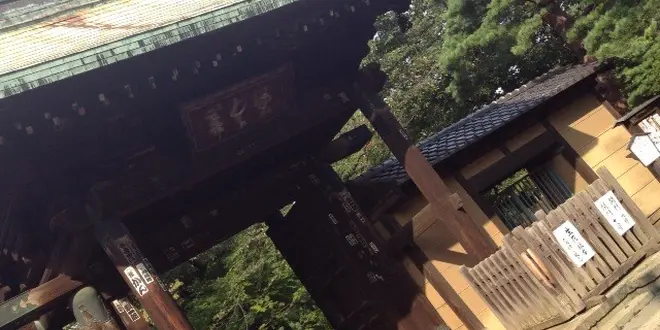 東急世田谷線　豪徳寺　世田谷の招き猫発祥の地で開運巡りの旅①