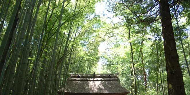 箱根旅行