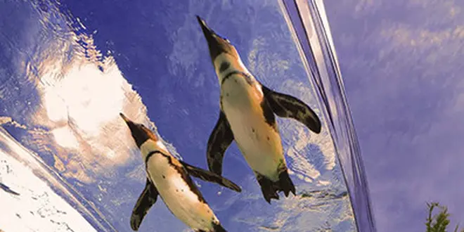 水族館のビアガーデンと、池袋散策