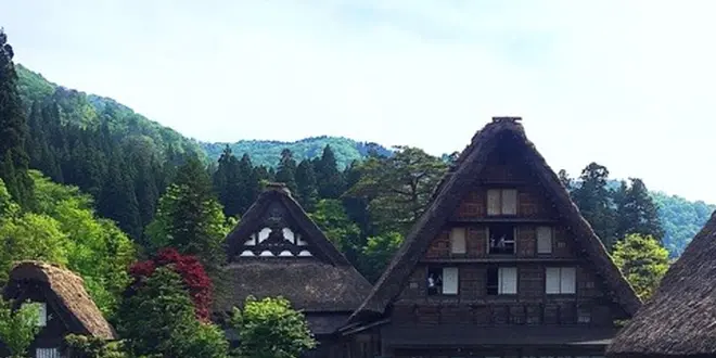 【冬だけじゃない！】夏の白川郷でたっぷり深呼吸の旅