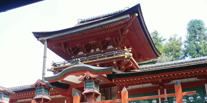 奈良【春日大社＋α】で楽しいお参りを…！