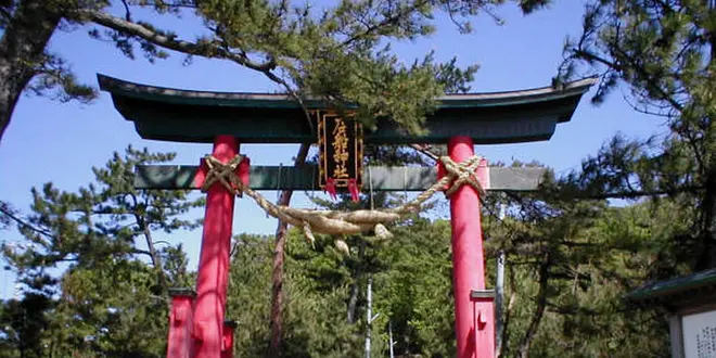 【新潟県村上市】ハトを探して港町さんぽ