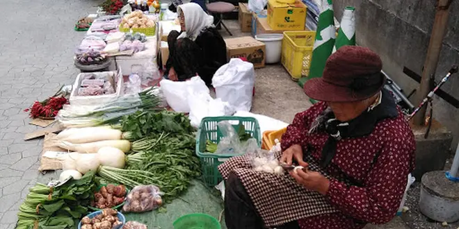 【勝浦市】勝浦朝市