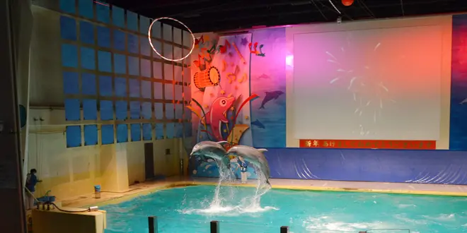 浅虫温泉で水族館＆グルメも堪能しちゃおう！