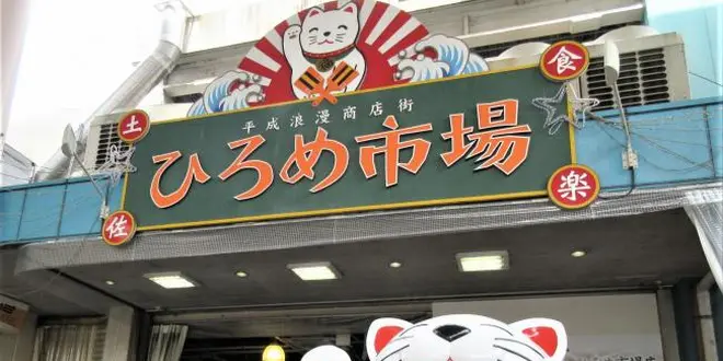 高知