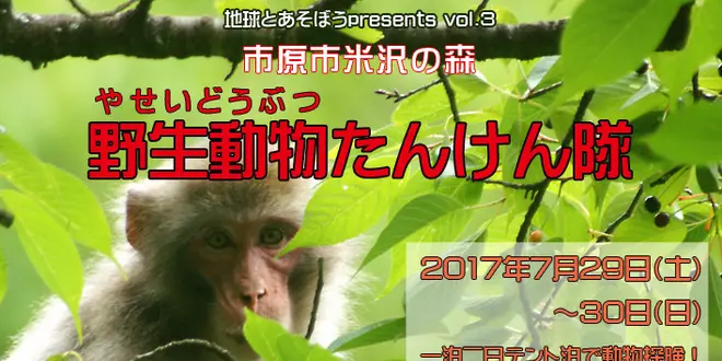 野生動物たんけん隊