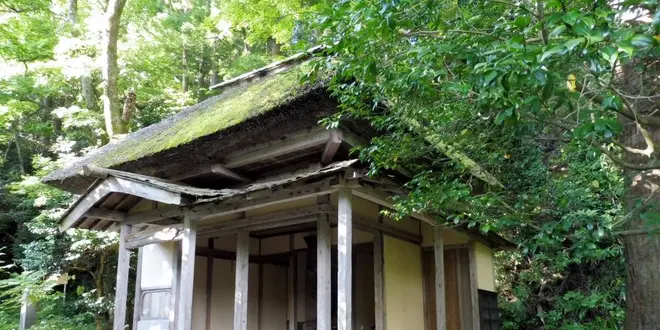 『炎上供養』の国上寺と新潟県ゆかりの人物を巡る歴史たび