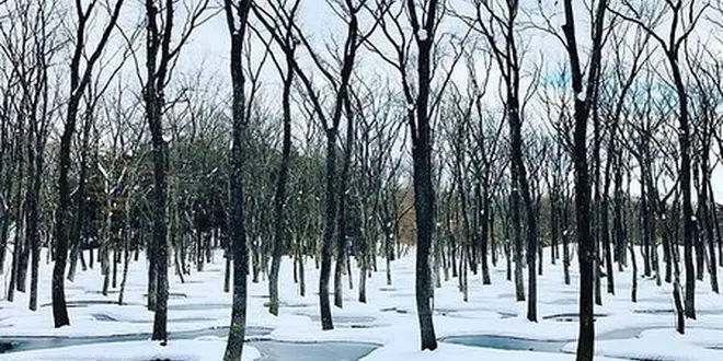 那須の旅