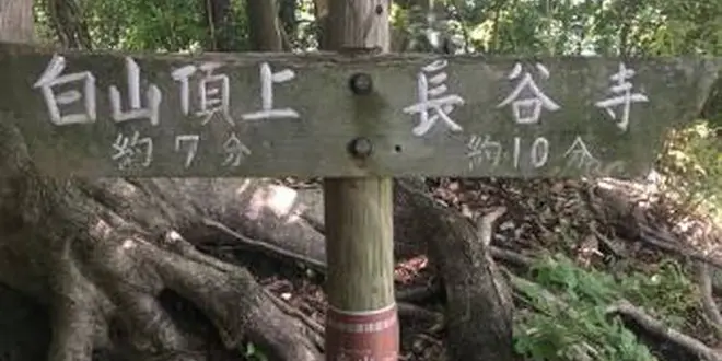 白山ハイキング