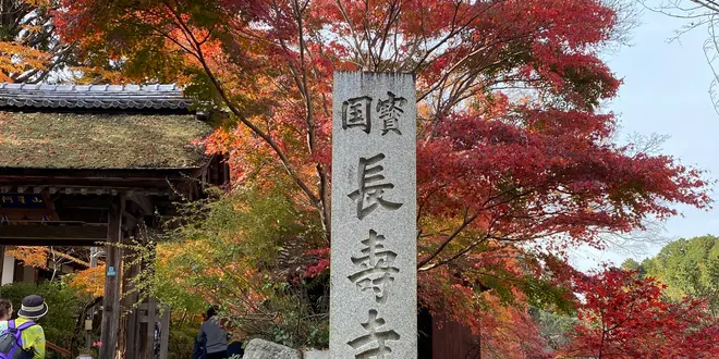 国宝・湖南三山と滋賀のおしゃれカフェをめぐる旅