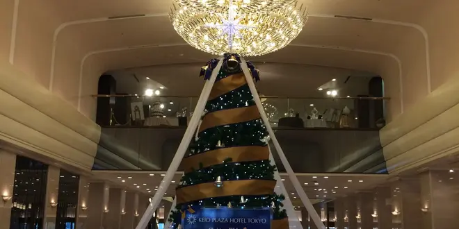新宿の大きなクリスマスツリーを見に行く