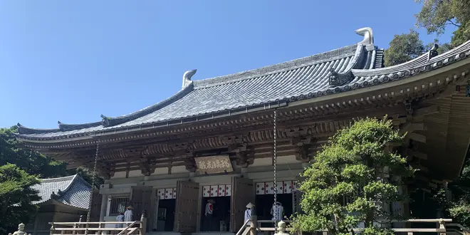 【高知】海を一望！観光おすすめスポット集✨