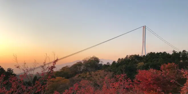 三島スカイウォーク 紅葉