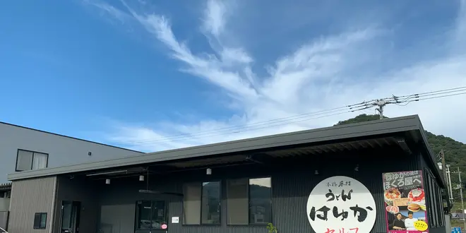 【香川】坂出・丸亀・善通寺の絶品うどんまとめ✨