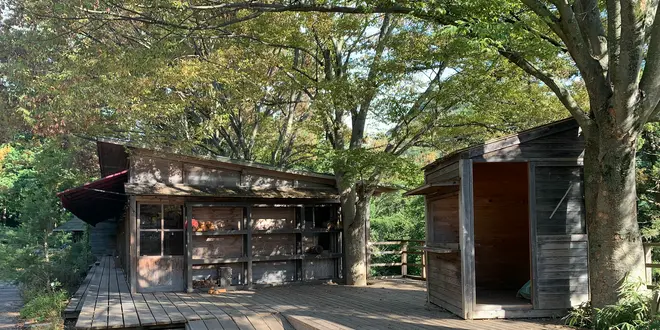 【香川】坂出・丸亀・善通寺エリアの観光おすすめスポットまとめ✨