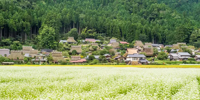 【美山】おやつをつまみながら日本の原風景を歩く♪ かやぶきおやつさんぽ
