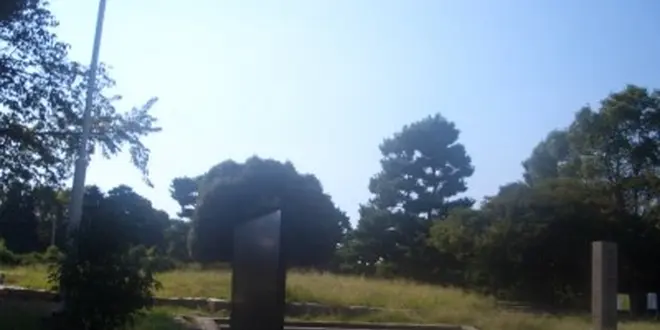 大陸文化漂う枚方で河内そうめんを味わおう