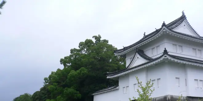 歴女の京めぐり♡テーマは”家康＆大阪の陣”
