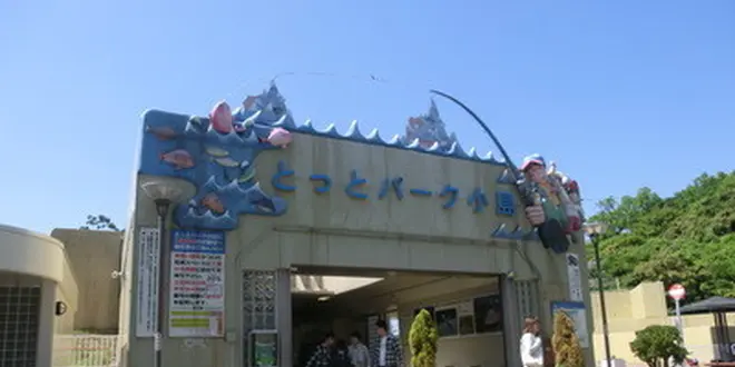 とっとパークで海釣りを楽しみ、みさき公園で絶叫、里海公園で海水浴。夏を楽しむなら泉南郡へＧＯ！