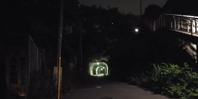 横浜ナイトハイク