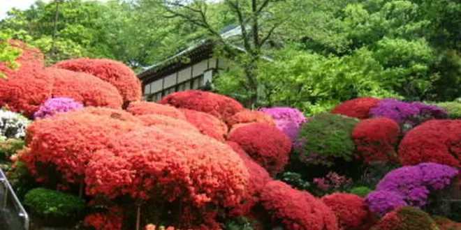 平瀬川流域の歴史を巡る