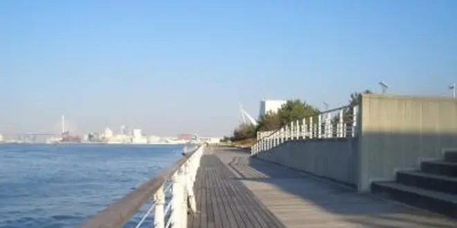 大阪湾に面した大阪市住之江区。大阪府咲洲庁舎最上階から大阪平野を一望