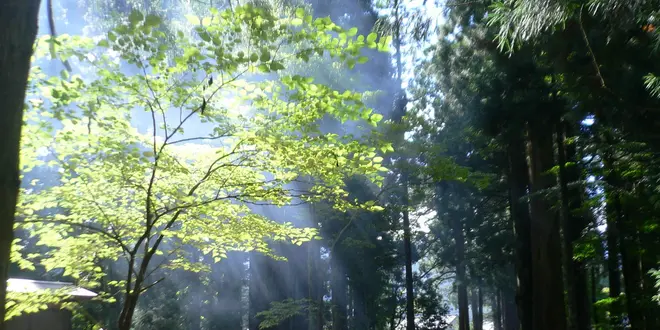 パワースポットマニアさんと巡る富山県の聖地