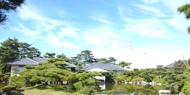 中讃～丸亀・京極藩お茶処に行ってみた～