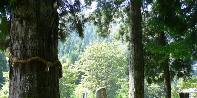 パワースポットマニアさんと巡る岐阜県郡上市の聖地