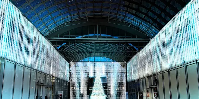 グランドニッコー東京 台場（イルミネーションアイランドお台場 2024）