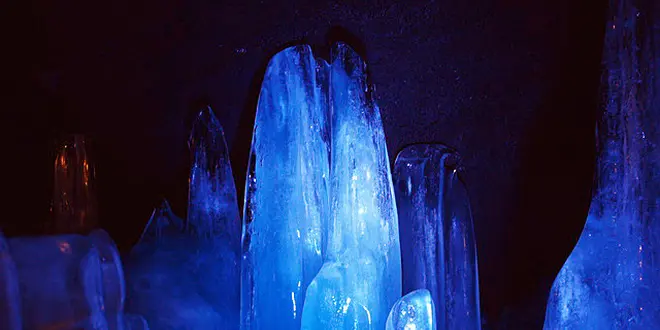 ひまわり畑から世界最大級のオルガンも！真夏の山梨県、ドライブ一泊二日プラン