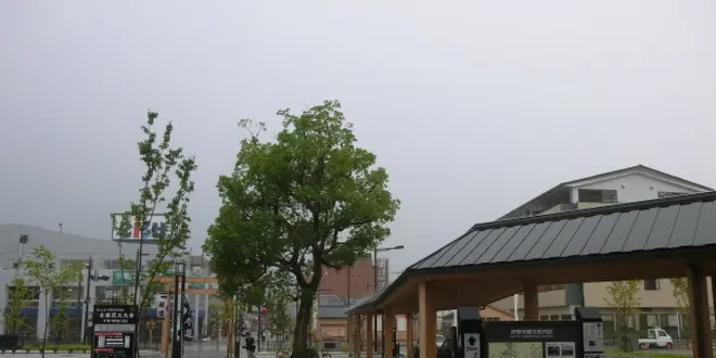 伊勢神宮と赤福。そばとうどんで楽しむ伊勢な一日