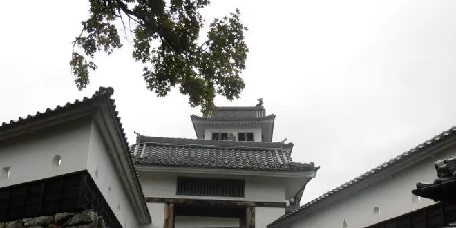 食品サンプル発祥の郡上八幡。郡上八幡城から眺める城下町