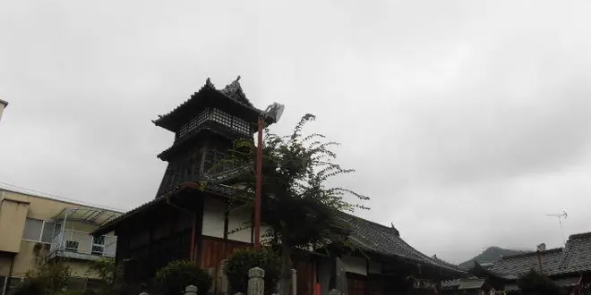 ★日本一大きい石の大碁盤！？恐竜と出会えるまち兵庫県丹波市で楽しむドライブ