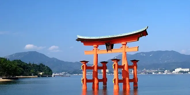 わんこと瀬戸内海