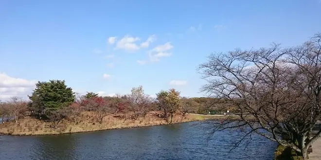 那須りんどう湖レイクビュー紅葉