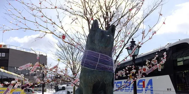 ほっこり、ハチ公のふるさと、大館の旅