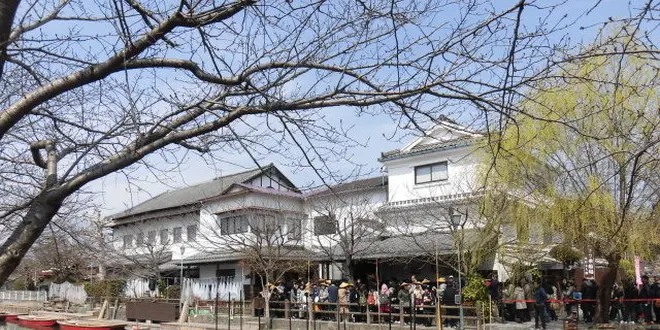 柳川で藩政時代のまちなみを船旅で楽しむ