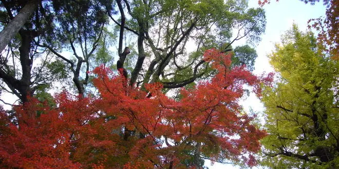 人の多いところに行くのであれば‥。