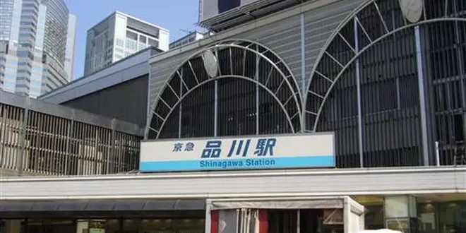 みさきまぐろきっぷで存分に楽しむ1日