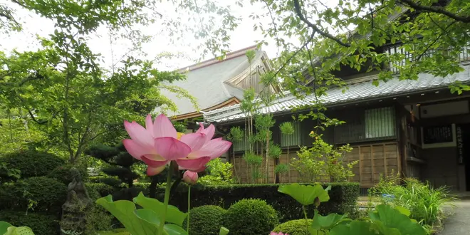 浜松市で歴史ウォーク、井伊直虎ゆかりの地へGO！