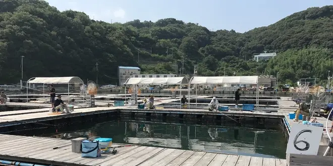 手ぶらでいこう!!姫路市家島の釣堀スポット