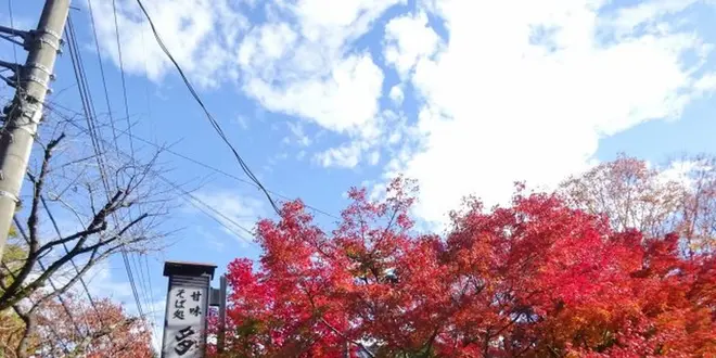 【深大寺】ちょっぴり観光