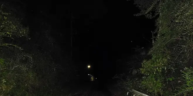 青梅ナイトハイク