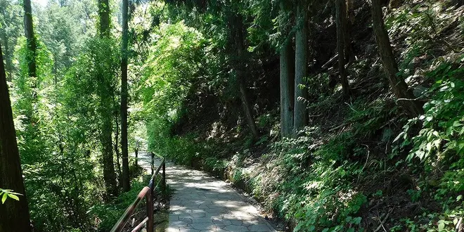 湖のひみつ