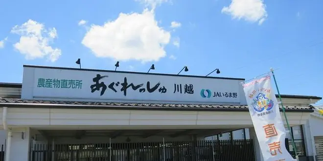 夏の川越散歩