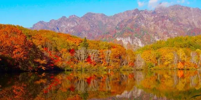 長野2泊3日の旅〜心安らぐ観光スポットと長野名物を堪能プラン〜