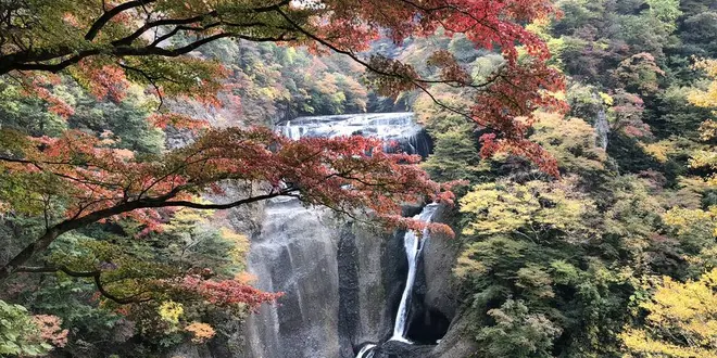 日帰りで紅葉と温泉を満喫